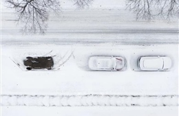 Bão tuyết gây tai nạn liên hoàn hơn 100 xe ở bang Michigan, Mỹ