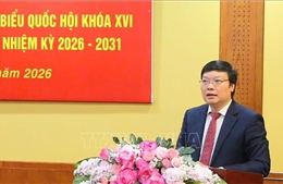 Hội nghị trực tuyến toàn quốc tập huấn nghiệp vụ công tác bầu cử 