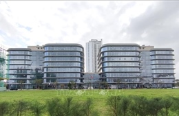 Điểm tin kinh tế Việt Nam nổi bật ngày 12/2/2026