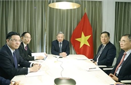 Tổng Bí thư Tô Lâm điện đàm với Thượng nghị sĩ Hoa Kỳ Steve Daines