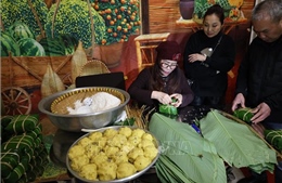 Xuân Bính Ngọ 2026: Xuân về bên hiên chùa Việt ở Potsdam (Đức)