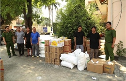 Triệt xóa đường dây sản xuất, buôn bán thực phẩm giả quy mô lớn 