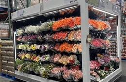 Valentine’s Day vượt khuôn khổ tình yêu đôi lứa