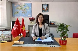 Triển vọng hợp tác thương mại với Hong Kong