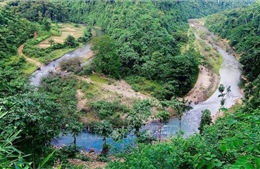 Vườn thực vật ngoại vi Pù Huống- 'Bảo tàng sống' về các loài thực vật nhiệt đới