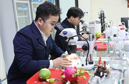 Giữ nhịp thông suốt xuất nhập khẩu nông sản