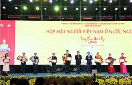 Thành phố Hồ Chí Minh họp mặt kiều bào mừng Xuân Bính Ngọ 2026