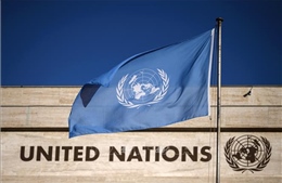 Cơ quan nhân quyền LHQ gặp khó khăn về ngân sách