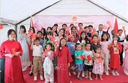 Xuân Bính Ngọ 2026: Tràn ngập sắc Xuân truyền thống tại Nam Phi 