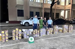 Đồng Nai: Bắt giữ đối tượng tàng trữ, vận chuyển hơn 300 kg pháo nổ