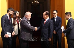 Bộ trưởng Ngoại giao Lê Hoài Trung tiếp Đại sứ Cộng hòa Séc