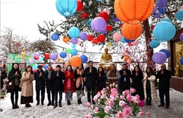 Xuân Bính Ngọ 2026: Ấm tình quê hương giữa trời Âu giá lạnh