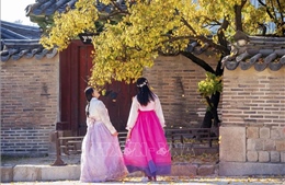 Cung điện và bảo tàng Hàn Quốc mở cửa miễn phí dịp Tết Nguyên đán