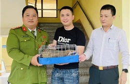 Quảng Trị: Tiếp nhận một cá thể Tê tê quý, hiếm từ người dân