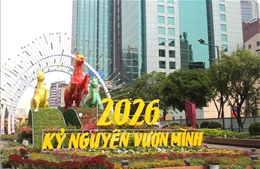 Lộ diện những tiểu cảnh đầu tiên của Đường hoa Nguyễn Huệ xuân Bính Ngọ