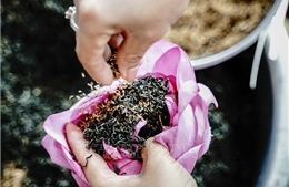 Trà sen Tây Hồ - hương vị bản sắc văn hóa Việt độc đáo