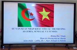 Cơ hội để doanh nghiệp Việt Nam xúc tiến xuất khẩu sang thị trường châu Phi