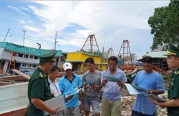 Gác lại việc riêng, hòa mình vào ngày hội non sông