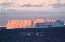 Diện tích băng biển tại Nam Cực phục hồi từ mức thấp kỷ lục
