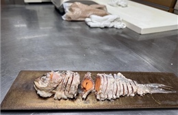 Kinh tế hồ bền vững – Bài 1: Từ hòa giải