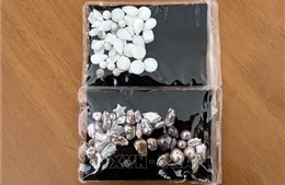 Kinh tế hồ bền vững - Bài 2: Đến hồi sinh