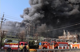Vụ cháy nhà máy phụ tùng ô tô tại Hàn Quốc: 14 người vẫn mất tích, 24 người nguy kịch