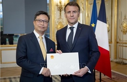 Đại sứ Việt Nam Trịnh Đức Hải trình Quốc thư lên Tổng thống Pháp Emmanuel Macron