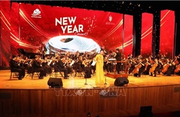 Khai trương Nhà hát Hoa Phượng ở Hải Phòng