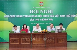 Xây dựng Hội Nông dân đáp ứng cầu đổi mới tổ chức, hoạt động trong bối cảnh tinh gọn hệ thống