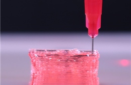 Phát triển mô cấy ghép in 3D giúp phục hồi tổn thương mô nghiêm trọng