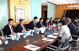 Kết nối hợp tác doanh nghiệp Việt Nam và Italy