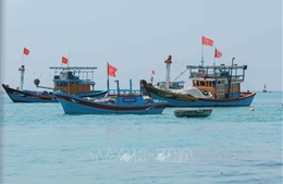 Số hóa hoạt động bảo tồn hệ sinh thái biển tại Lý Sơn