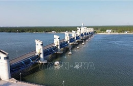 Ứng phó với hạn hán, xâm nhập mặn ở Đồng bằng sông Cửu Long