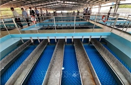 TP Hồ Chí Minh: Nhà máy nước bảo trì, ngừng cấp nước tạm thời nhiều khu vực