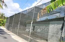 Đồng Tháp: Nhiều người dân phản ánh trại nuôi vịt công nghiệp gây ô nhiễm kéo dài