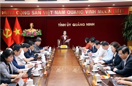 Hội đồng bầu cử Quốc gia kiểm tra, giám sát tại Quảng Ninh