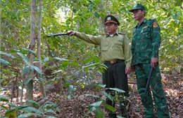 Đảo Hòn Khoai sớm chủ động '4 tại chỗ' bảo vệ hơn 500 ha rừng đặc dụng