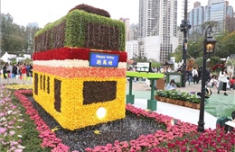 Khám phá các kiến trúc đặc sắc của Hong Kong tại triển lãm hoa