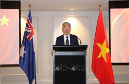 Hợp tác Việt Nam – Australia: Dư địa lớn, kết nối ngày càng sâu rộng