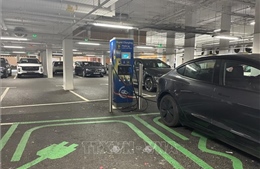 Xung đột Trung Đông thúc đẩy tiến trình chuyển dịch năng lượng tái tạo