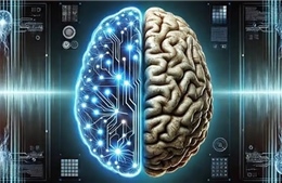 Ngày Sức khỏe Thế giới 7/4: Khi AI đồng hành cùng sức khỏe con người