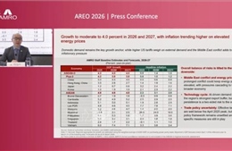 Việt Nam ứng phó tốt trước những cú sốc kinh tế