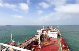 HĐBA bất đồng về nghị quyết cho phép dùng vũ lực bảo vệ eo biển Hormuz