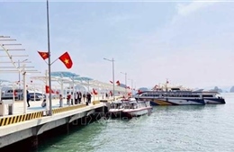 Miễn, giảm giá vé cho cư dân tuyến đảo Cô Tô, Vân Đồn khi qua bến cảng Ao Tiên