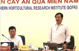 Tăng năng lực kiểm soát Cadimi, vàng O trong canh tác sầu riêng