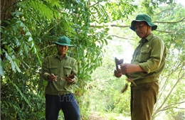 Cần Thơ nâng dự báo cháy rừng lên cấp nguy hiểm