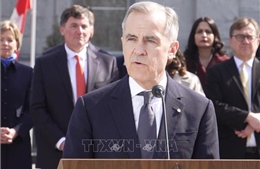 Lợi thế từ sự ổn định chính trị