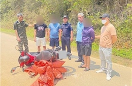 Bắt giữ vụ vận chuyển 59,2 kg nghi là vảy tê tê