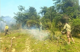 Nắng nóng gay gắt, liên tiếp xảy ra cháy rừng ở Nghệ An 