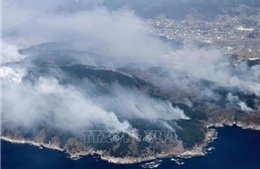 Nhật Bản sơ tán hơn 3.200 người do cháy rừng